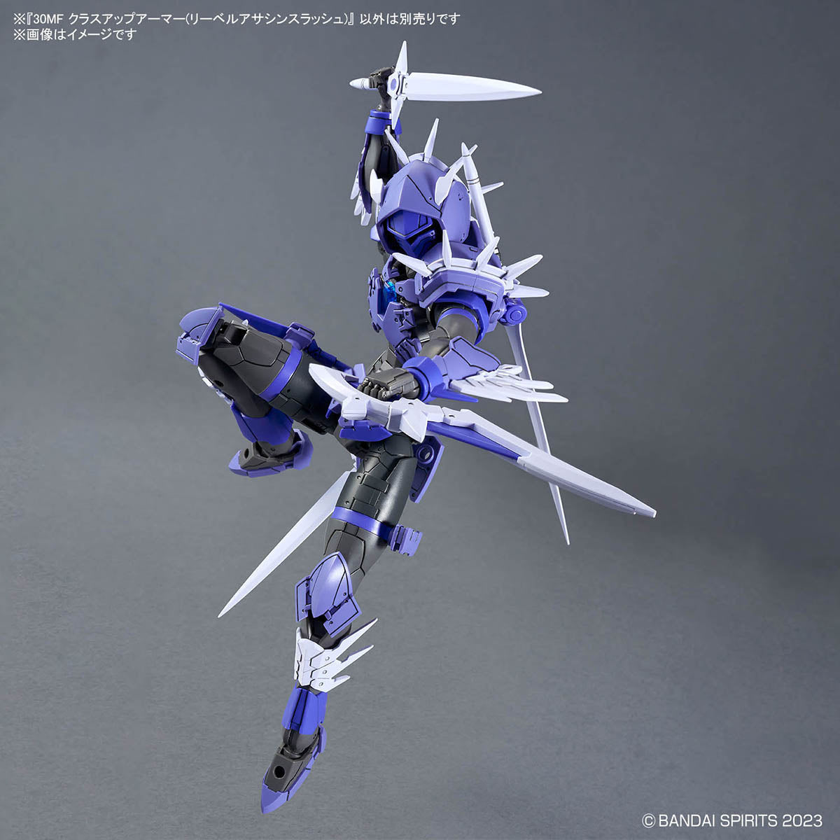 30 Minutes Fantasy Class-Up Armor Liber Assassin Slash Accessory Set