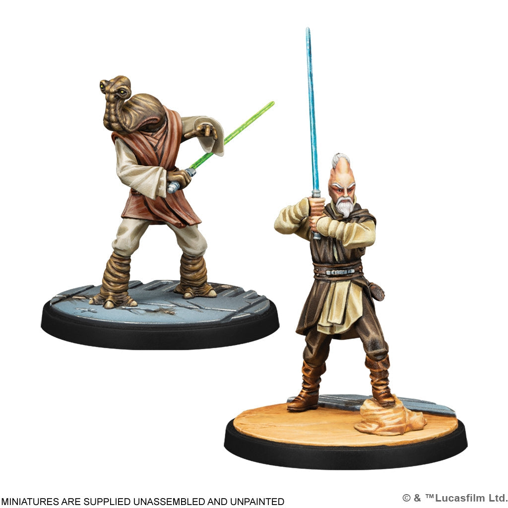 Star Wars: Shatterpoint - Wisdom of the Council