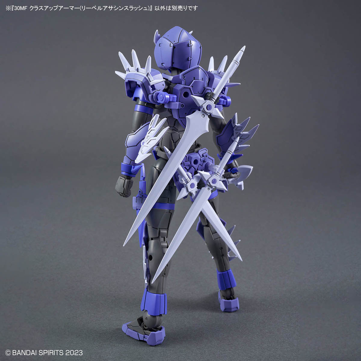 30 Minutes Fantasy Class-Up Armor Liber Assassin Slash Accessory Set