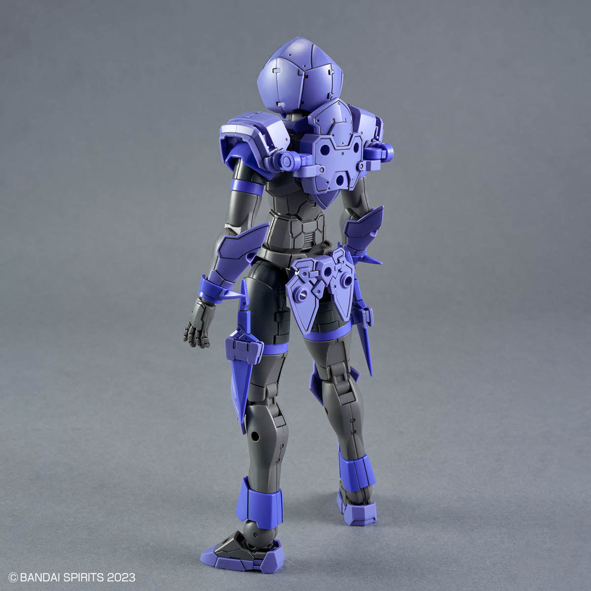30 Minutes Fantasy Liber Assassin Model Kit
