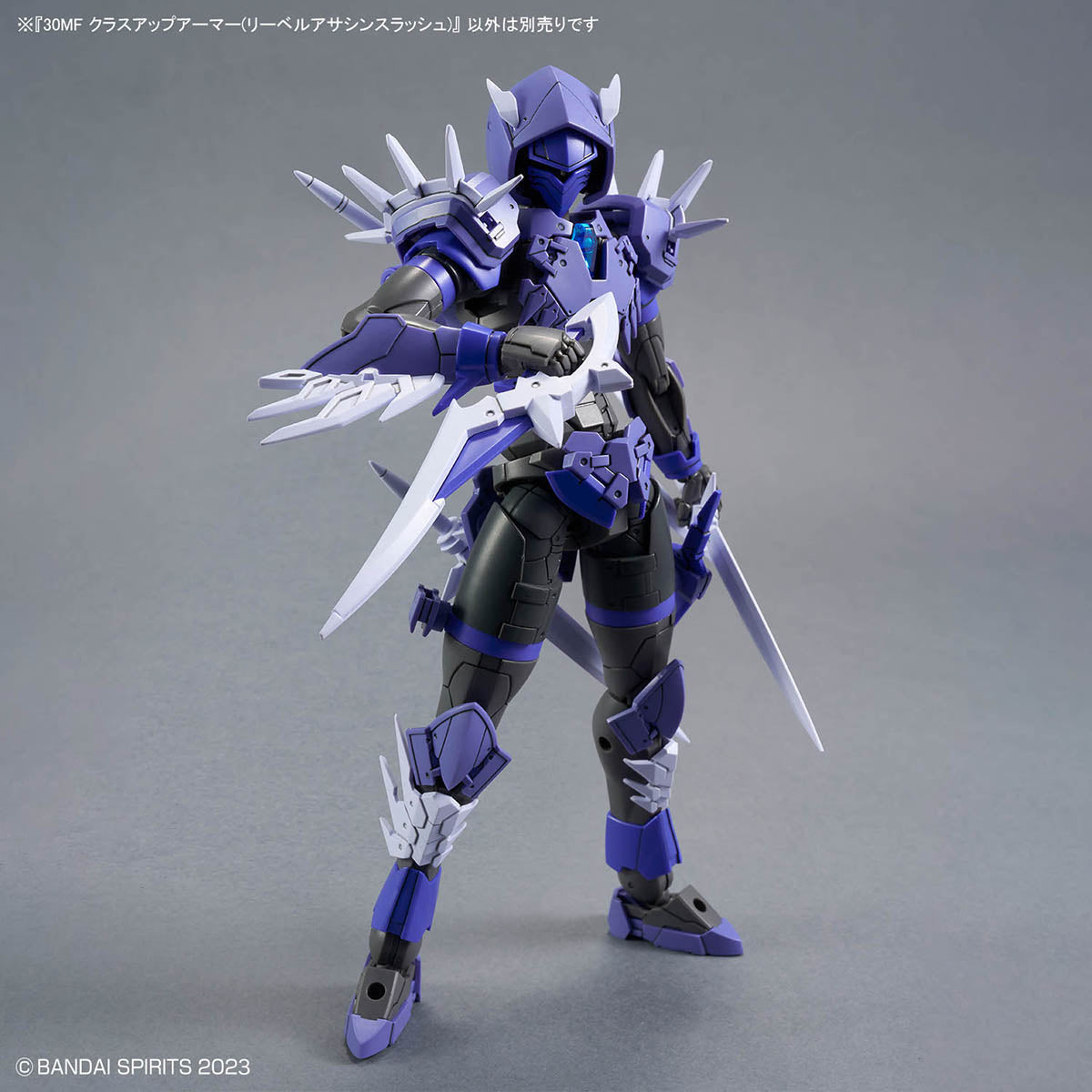 30 Minutes Fantasy Class-Up Armor Liber Assassin Slash Accessory Set